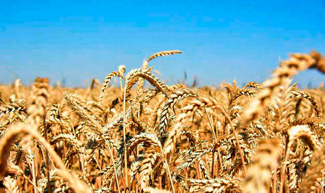na-torgah-gtsbt-obshaya-summa-sdelok-sostavila-svyshe-7-millionov-763-tysyac-dollarov-ssha