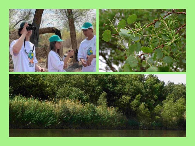 na-torgah-gtsbt-obshaya-summa-sdelok-sostavila-svyshe-7-millionov-763-tysyac-dollarov-ssha