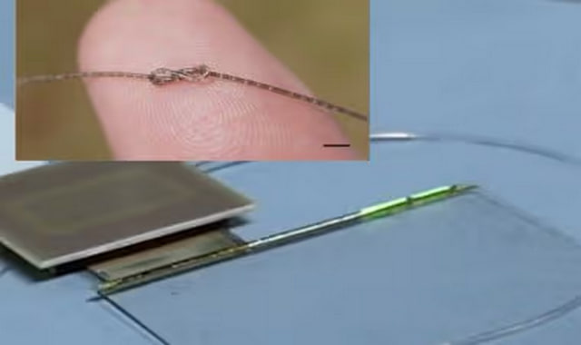 na-torgah-gtsbt-obshaya-summa-sdelok-sostavila-svyshe-7-millionov-763-tysyac-dollarov-ssha