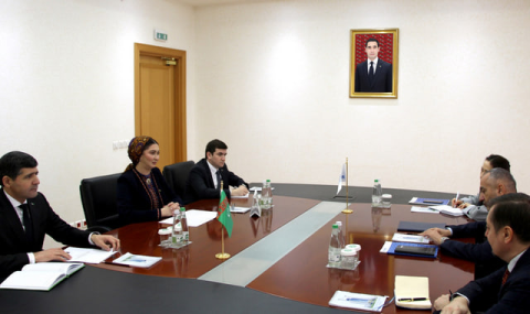 Туркменистан и УВКБ ООН обсудили гуманитарное взаимодействие