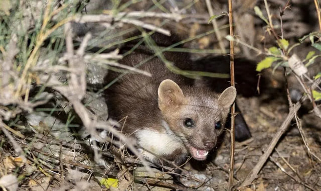 na-torgah-gtsbt-obshaya-summa-sdelok-sostavila-svyshe-7-millionov-763-tysyac-dollarov-ssha