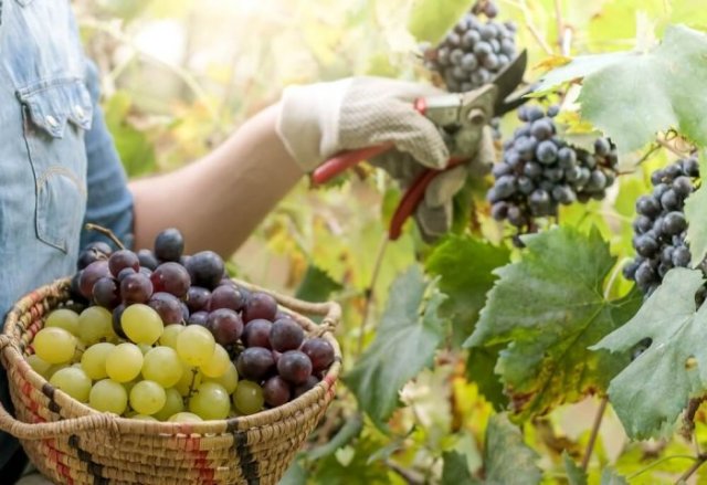 na-torgah-gtsbt-obshaya-summa-sdelok-sostavila-svyshe-7-millionov-763-tysyac-dollarov-ssha