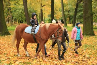 Верховая езда — залог здоровья