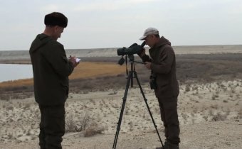 В Капланкырском заповеднике Туркменистана зафиксировали более 32 тысяч птиц 