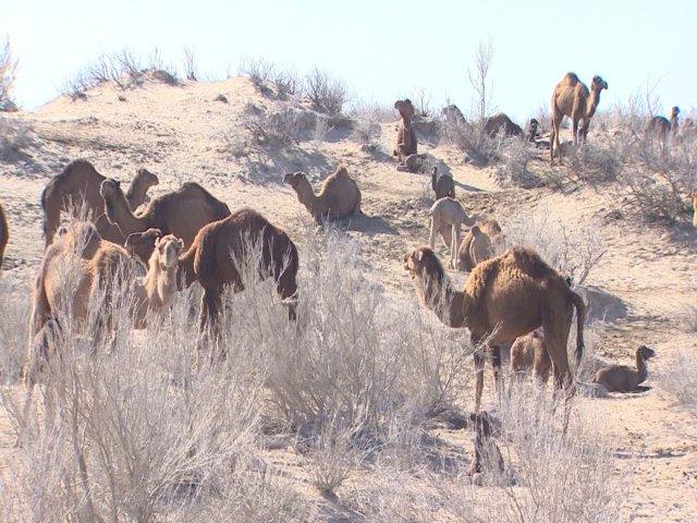 na-torgah-gtsbt-obshaya-summa-sdelok-sostavila-svyshe-7-millionov-763-tysyac-dollarov-ssha