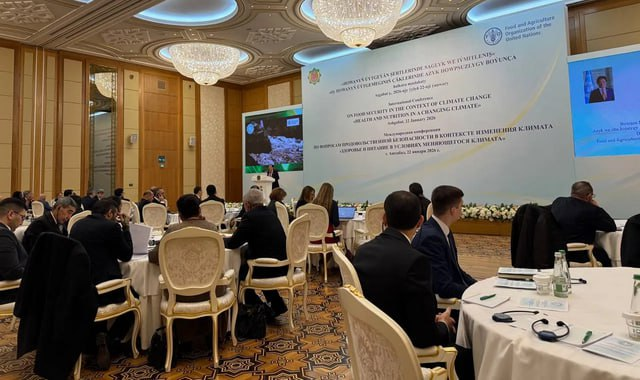 na-torgah-gtsbt-obshaya-summa-sdelok-sostavila-svyshe-7-millionov-763-tysyac-dollarov-ssha