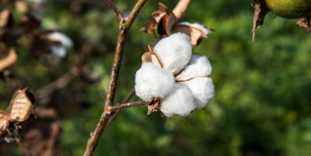 na-torgah-gtsbt-obshaya-summa-sdelok-sostavila-svyshe-7-millionov-763-tysyac-dollarov-ssha