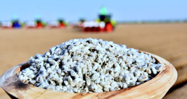 na-torgah-gtsbt-obshaya-summa-sdelok-sostavila-svyshe-7-millionov-763-tysyac-dollarov-ssha