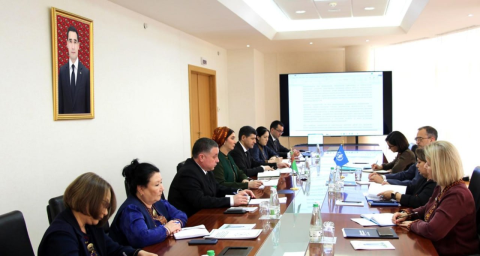 Туркменистан и ВОЗ обсудили развитие сотрудничества