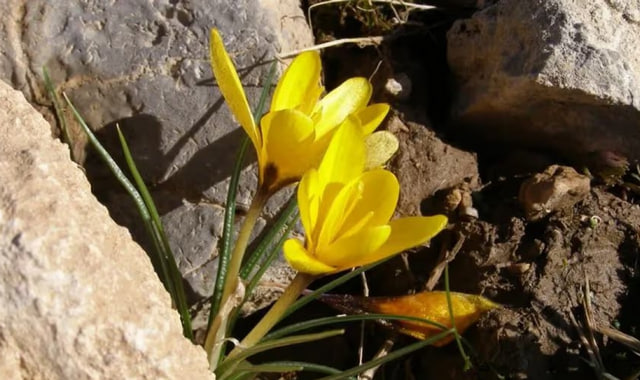 na-torgah-gtsbt-obshaya-summa-sdelok-sostavila-svyshe-7-millionov-763-tysyac-dollarov-ssha