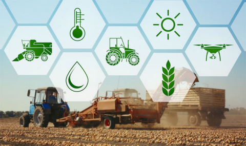 Пшеница и хлопчатник Юго-восточного Туркменистана получают необходимые меры ухода