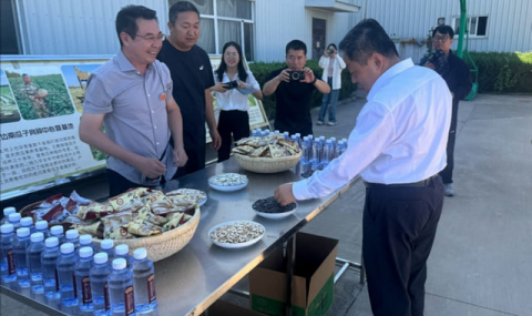 Туркменская делегация познакомилась с инновациями в сельском хозяйстве Китая