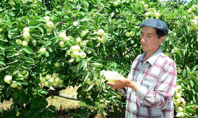 na-torgah-gtsbt-obshaya-summa-sdelok-sostavila-svyshe-7-millionov-763-tysyac-dollarov-ssha
