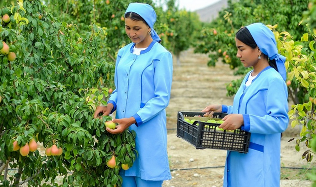 na-torgah-gtsbt-obshaya-summa-sdelok-sostavila-svyshe-7-millionov-763-tysyac-dollarov-ssha