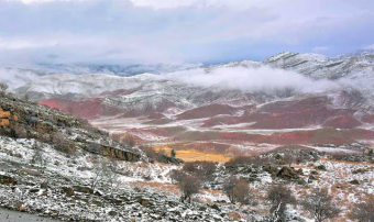 Койтендагское ущелье сохраняет уникальные растения