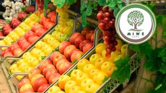 Компания «Miwe» собрала 180 тонн экологически чистых фруктов с собственных садов