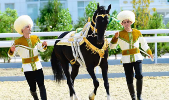 Ахалтекинское коневодство стало символом развития Туркменистана