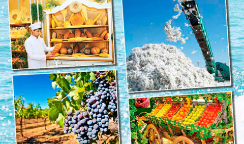 Президент Туркменистана поручил обеспечить расчёты с сельхозпроизводителями