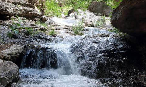 Родники и водопады Койтендага сохраняют жизнь долины