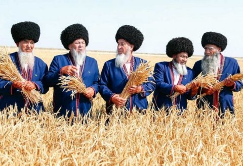 Успехи арендатора из Туркменистана в выращивании сельскохозяйственных культур