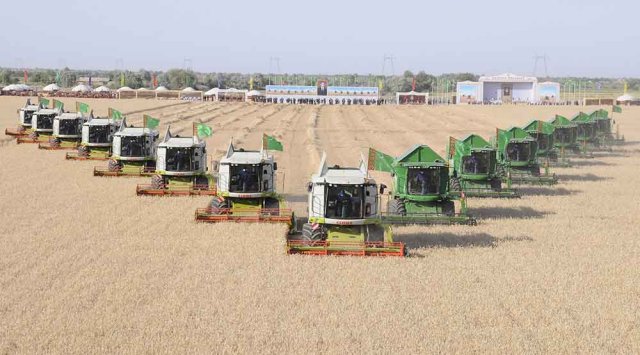 na-torgah-gtsbt-obshaya-summa-sdelok-sostavila-svyshe-7-millionov-763-tysyac-dollarov-ssha