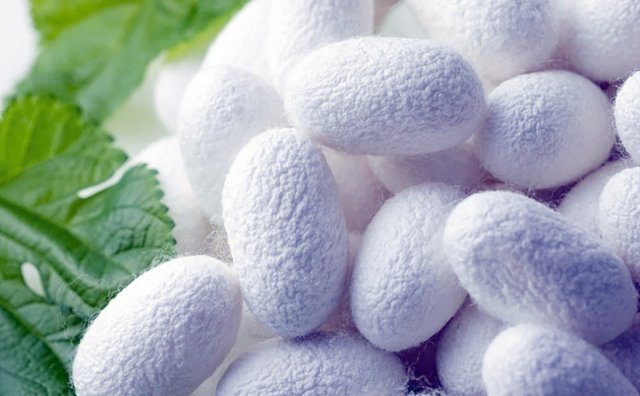 na-torgah-gtsbt-obshaya-summa-sdelok-sostavila-svyshe-7-millionov-763-tysyac-dollarov-ssha