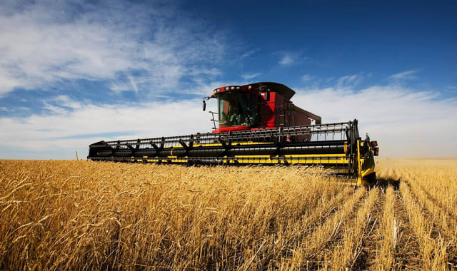 na-torgah-gtsbt-obshaya-summa-sdelok-sostavila-svyshe-7-millionov-763-tysyac-dollarov-ssha