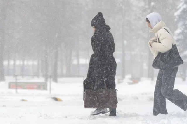 na-torgah-gtsbt-obshaya-summa-sdelok-sostavila-svyshe-7-millionov-763-tysyac-dollarov-ssha