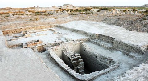 В Туркменистане начался осенний сезон работ в заповеднике «Абиверд»
