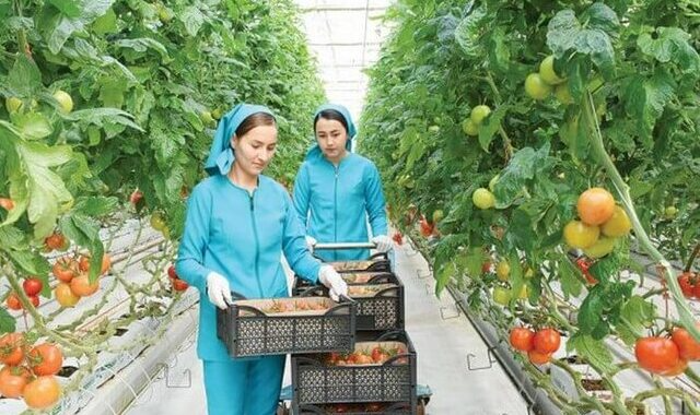 na-torgah-gtsbt-obshaya-summa-sdelok-sostavila-svyshe-7-millionov-763-tysyac-dollarov-ssha
