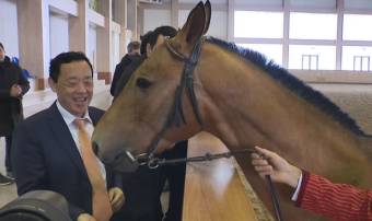 Представители ФАО осмотрели конный центр в Туркменистане