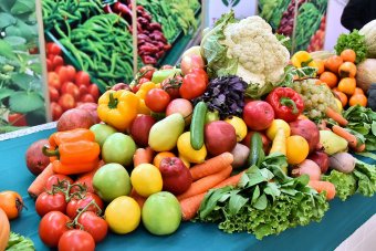 Дашогузский велаят укрепляет позиции лидера по бахчевой продукции