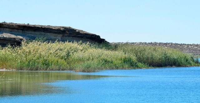 na-torgah-gtsbt-obshaya-summa-sdelok-sostavila-svyshe-7-millionov-763-tysyac-dollarov-ssha