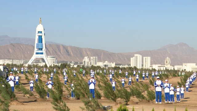 na-torgah-gtsbt-obshaya-summa-sdelok-sostavila-svyshe-7-millionov-763-tysyac-dollarov-ssha