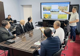 Туркменистан развивает связи с Узбекистаном в рамках экологического партнёрства