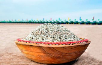 Специалисты ПО «Дашогузпагта» завершают подготовку семян для предстоящего сева