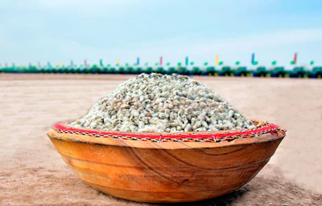 na-torgah-gtsbt-obshaya-summa-sdelok-sostavila-svyshe-7-millionov-763-tysyac-dollarov-ssha