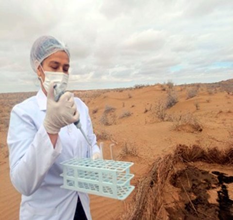 Туркменские учёные создают новую систему против опустынивания  