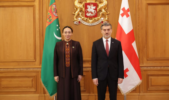 Председатель Меджлиса Туркменистана встретилась с Президентом Грузии