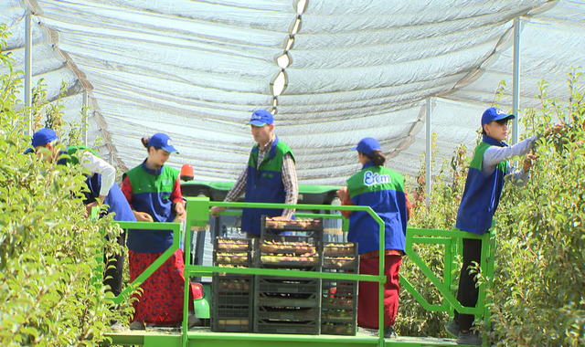 na-torgah-gtsbt-obshaya-summa-sdelok-sostavila-svyshe-7-millionov-763-tysyac-dollarov-ssha