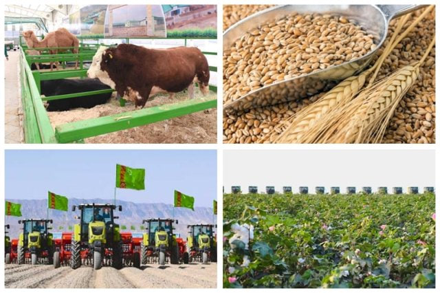 na-torgah-gtsbt-obshaya-summa-sdelok-sostavila-svyshe-7-millionov-763-tysyac-dollarov-ssha