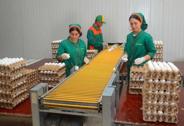 na-torgah-gtsbt-obshaya-summa-sdelok-sostavila-svyshe-7-millionov-763-tysyac-dollarov-ssha