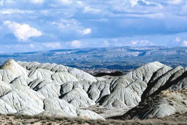 na-torgah-gtsbt-obshaya-summa-sdelok-sostavila-svyshe-7-millionov-763-tysyac-dollarov-ssha