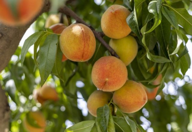 na-torgah-gtsbt-obshaya-summa-sdelok-sostavila-svyshe-7-millionov-763-tysyac-dollarov-ssha