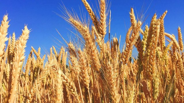 na-torgah-gtsbt-obshaya-summa-sdelok-sostavila-svyshe-7-millionov-763-tysyac-dollarov-ssha