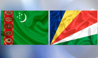 МИД Туркменистана и Сейшельских Островов обменялись мнениями по телефону