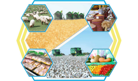 Сельское хозяйство Туркменистана показывает стабильный рост