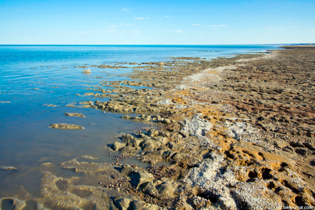 na-torgah-gtsbt-obshaya-summa-sdelok-sostavila-svyshe-7-millionov-763-tysyac-dollarov-ssha