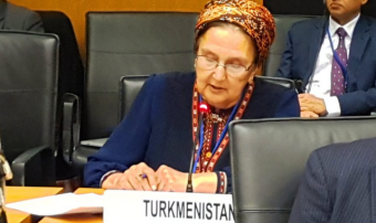Туркменская делегация участвует в 65-й сессии Подготовительной комиссии ОДВЗЯИ