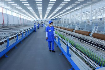 В Туркменистане запустили производство пряжи из верблюжьей шерсти и козьего пуха